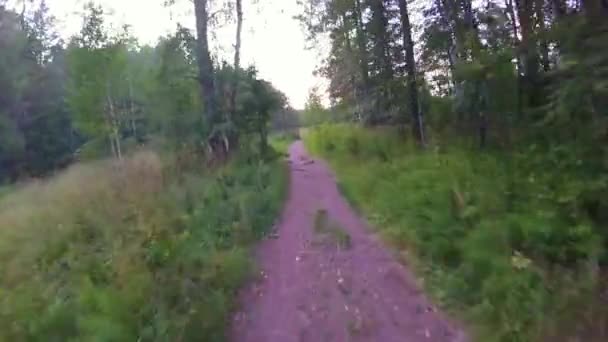 夏の森で最初の人のサイクリングです。Gopro と太陽と森の中の小道にサイクリング。森や林の gopro でレース中に 2 つの自転車 mountainbiker。森の中の自転車 — ストック動画