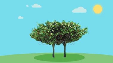 Dört sezon ağaç ve para animasyon bekliyor. Bir sürü para ağacı animasyon. Dört sezon ağaç. Yalnız bir ağaç için dört mevsim