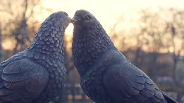 Dvojice vintage bílého holuba vyrobené z bronzu a slunce pozadí. holubi figurky vyrobené z kovu. Dvě sošky holubů jako památník lásky. Pomník lásky z bronzu — Stock video