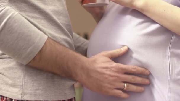 Руки мужа на животе его беременной жены. Муж нежно гладил беременный живот своей жены. Молодой человек гладит беременное брюхо своей прекрасной женщины. Муж целует беременный живот — стоковое видео