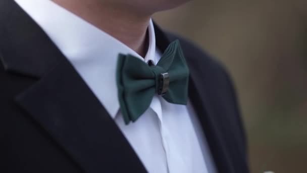 Close-up on nerd, man in bow tie. Mans hands touches bow-tie on a suit or tuxedo. man in a shirt and bow tie — Stock Video