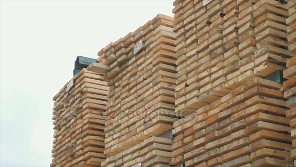 Fond des extrémités carrées des barres en bois. Bois matériau de construction pour le fond et la texture. de près. Une pile de barres en bois. petite profondeur de champ. panneaux de contreplaqué sur les meubles — Video