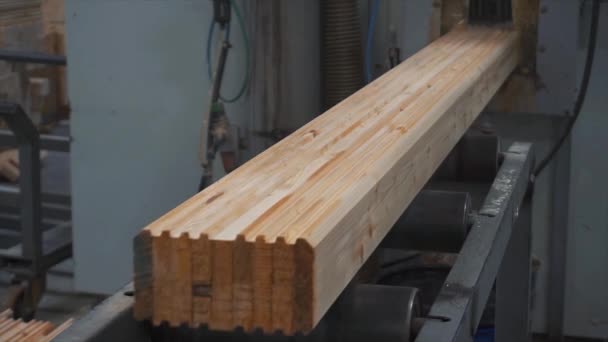 建設の木造コテージ。屋外クローズ アップ コーナー ツールの助けを借りて松バーを測定します。木の棒の建設の工場。木の棒の接合。接合に接着剤を適用します。 — ストック動画