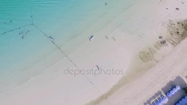 Um casal feliz na praia. Casal jovem que se diverte em uma praia. Um jovem homem e mulher se divertindo dançando como um casal romântico em uma praia com um céu azul brilhante e mar . — Vídeo de Stock