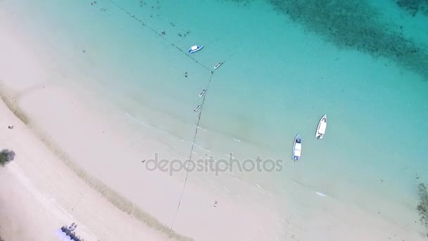 Ovan vinkel av glad bröllop par ligger på en tropisk sandstrand nära havet. Flygfoto på attraktivt par avkopplande på Sandy Beach, tropiska semester. Unga par ligger på stranden — Stockvideo