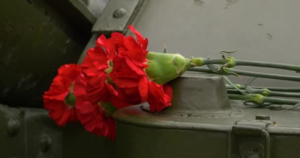 Howitzer and carnation. Carnation flowers symbol of mourning. Close up — Stock Video