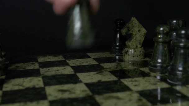 Schwarzer Elefant besiegte weißes Pferd. Schwarzer Elefant im Schach — Stockvideo