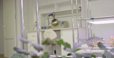 Soya fasulyesi sera sera topraksız tarımı sebze. Sera bitki satır Grow Led ışık kapalı Çiftliği Tarım teknolojisi ile.