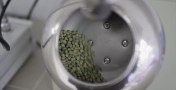 Technician In the laboratory tests the quality of grains and beans. Euipment to check the quality of the beans. testing the quality of the beans. Chemistry researcher observing indicator color shift — Stock Video