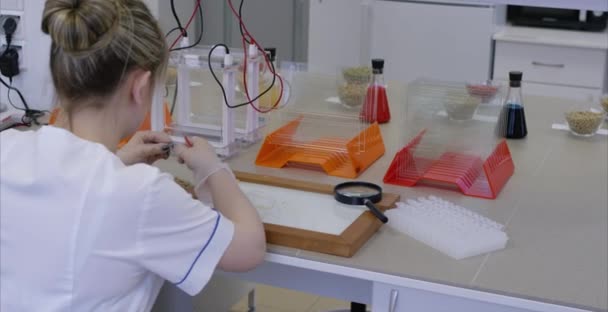 Jonge vrouwelijke voedingsdeskundige voedsel monsters in het laboratorium testen. Vrouwelijke onderzoeker werken op een computer in een laboratorium. Professionele vrouwelijke wetenschapper onderzoekt medische monsters achteraanzicht — Stockvideo