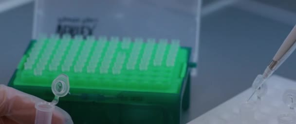 Científica médica usando pipetas e investigando en el laboratorio. Concepto de investigación. Con guantes azules y uniforme blanco. Muestra líquida de cargas femeninas jóvenes en tubo de ensayo con plástico — Vídeo de stock