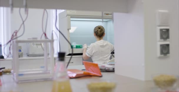 Nutricionista joven hembra analizando muestras de alimentos en laboratorio. Investigadora que trabaja en una computadora en un laboratorio. Científica profesional está examinando muestras médicas vista posterior — Vídeos de Stock