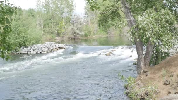 Viharos jelenlegi egy hegyi folyó. Rocky river. — Stock videók