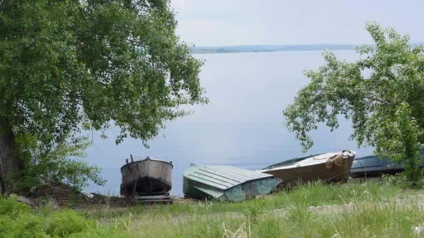 Vieux bateaux de pêche à l'aviron amarrés avec des chaînes au bord de la rivière, le transport par eau, la flore du lac vert en été . — Video