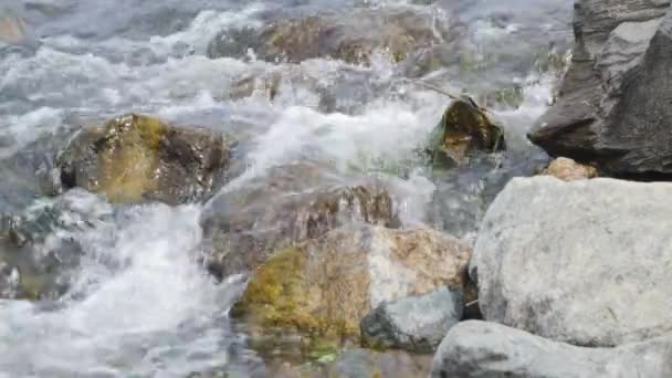 Waldbach, Bachwasser und grüne bemooste Felsen, Moos auf den Felsen Waldbach, Waldfluss, Wasser fließt schnell durch die Stromschnellen, Granitblöcke mit Fluss — Stockvideo