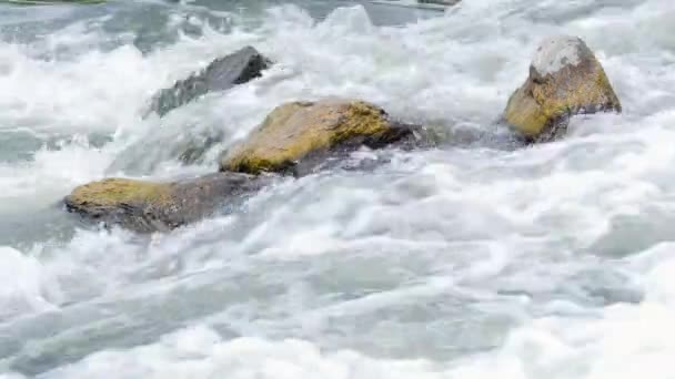 Çağlayan nehir dağ. Rock River ıssızlık Vadisi yürüyüşü sırasında akan su. — Stok video