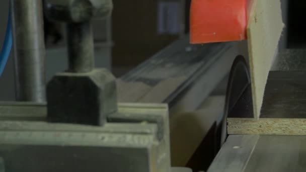 Mann beim Holzsägen. Kreissäge. Eine Maschine, die Holz, Spanplatten und Faserplatten sägt. industrielle Produktion von Möbeln, Zeitlupe — Stockvideo