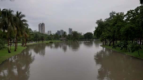 Zona verde parco vicino al fiume della città. Paesaggio parco cittadino. Città verde in estate — Video Stock