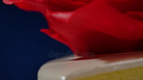 Délicieux et beau gâteau décoré avec de la crème. Crème rouge sur le gâteau gros plan 