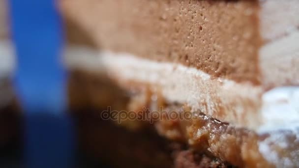 Tiramisu dort. Tiramisu dort na desce s vidlice izolované na tmavě modré zavřít nahoru — Stock video