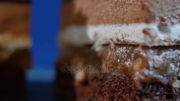 Tiramisu taart. Tiramisu taart op plaat met vork geïsoleerd op donker blauwe close up — Stockvideo