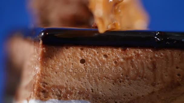 Tiramisu cake. Tiramisu cake on plate with fork isolated on dark blue close up — Stock Video