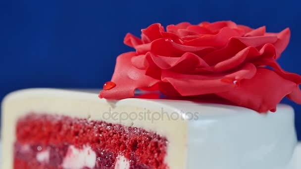 Pastel blanco con adornos de chocolate y rosa de mazapán rojo sobre fondo azul oscuro. pastel decorado con rosas rojas comestibles de cerca — Vídeo de stock
