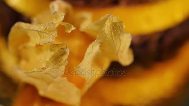 Physalis una baya. Fruto maduro comestible de Physalis, una planta en la familia de las sombrillas. La cáscara de papel marrón claro encierra la fruta naranja. Macro — Vídeo de stock