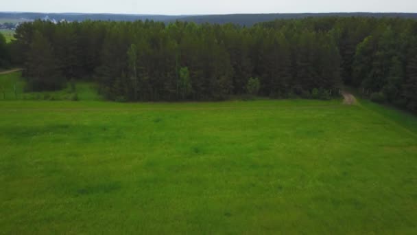 Litauiska landskapet från ovan på våren. Flygfoto över gränslösa skogen under vita moln. Flygfoto över skogen. Skog från ovanifrån — Stockvideo