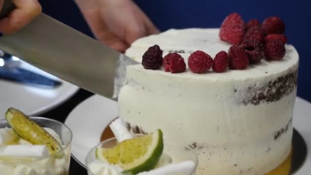 Hand med kniv skär jordgubbar. Bär på vitt matlagning styrelse. Färska råvaror till en efterrätt. Kocken arbetar i köket. Kniven skär vit tårta med bär — Stockvideo