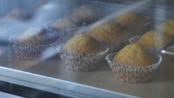 Os muffins em uma bandeja de cozedura no forno fecham. Muffins caseiros — Vídeo de Stock