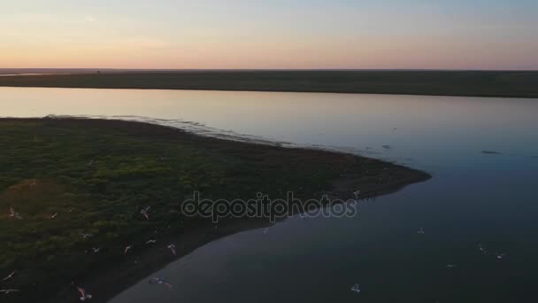 Las gaviotas vuelan por encima del río al atardecer. Las aves vuelan al atardecer. Puesta de sol en el río, aérea — Vídeo de stock