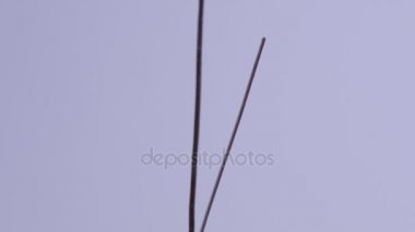 Vanilyalı dondurma dondurma Kupası arka plan üzerinde. Bir cam kremalı dondurma