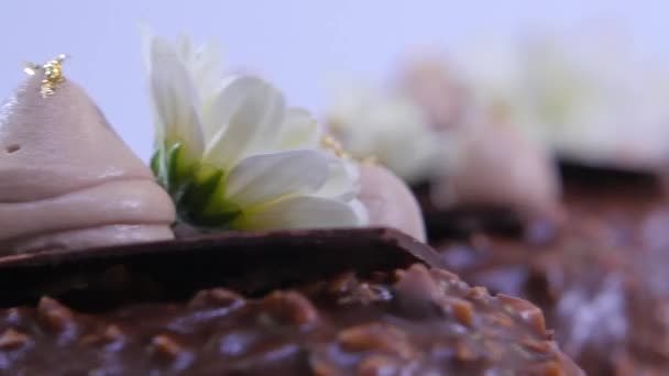 Bloemen en room op het ijs close-up. Chocolade-ijs op een stokje. Chocolade-ijs op een stokje, versierd met bloemen — Stockvideo