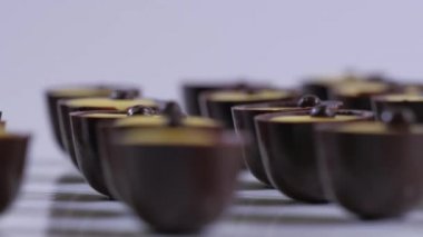 Beyaz bir arka plan üzerinde çikolata tatlılar koleksiyon. Çikolatalı pralin yakın çekim