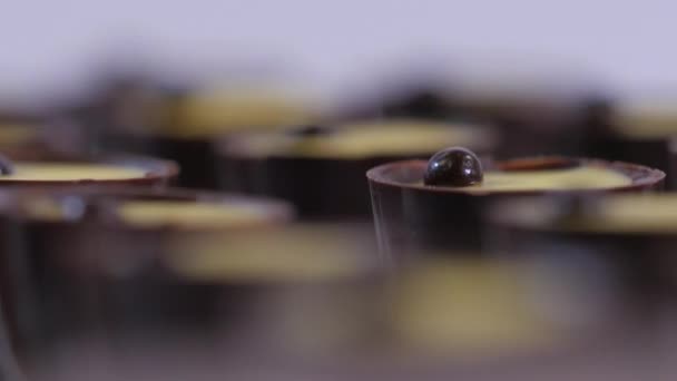 Colección de dulces de chocolate sobre fondo blanco. Pralinés de chocolate de cerca — Vídeo de stock