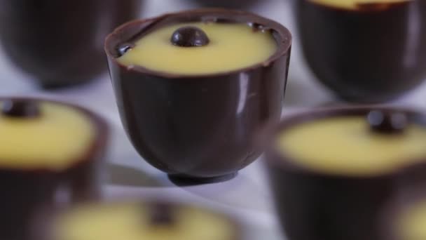 Колекція шоколадних цукерок на білому тлі. Шоколадні праліни крупним планом — стокове відео