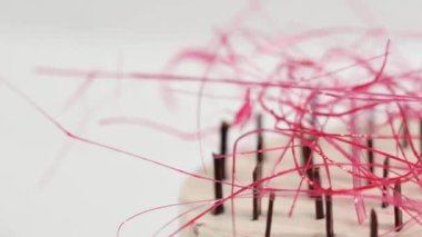 Bir plaka üzerinde üç kat kremalı pasta. Kremalı pasta çikolata kırıntıları ve çikolata saman, closeup ile dekore edilmiş üç kat ile