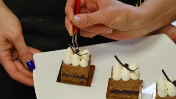 Γυναίκα κοσμεί ένα κέικ με σοκολάτα. Γυναίκα διακοσμεί ένα κέικ — Αρχείο Βίντεο