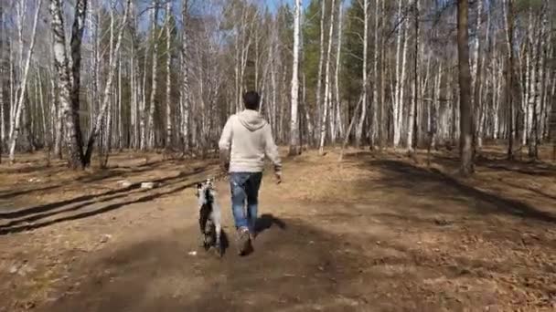 Człowiek idzie z psem w parku jesień w słoneczny dzień. Człowiek, spacery z psem Dalmacji, widok z tyłu — Wideo stockowe