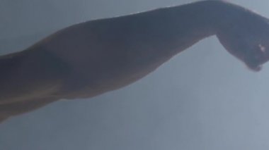 Duman siyah zemin üzerine bir yumruk. Yumruk, el, duman ve koyu