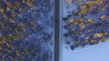 Kış orman ülke yolda bir araba. En iyi manzara dron. Bir yolun karla kaplı ağaçlar ile kışın dağlarda yüksek rütbeli ormana havadan görünümü