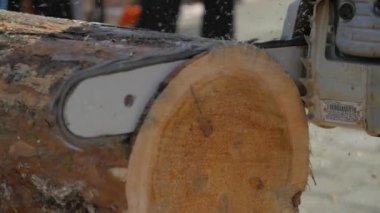 Testere kesme gövde. Ağaç kesme testere olan adam. Yakacak odun kesmek için testere kapatın. Adam bir şube testere ile kesme