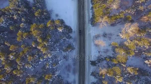 一辆汽车在乡村公路上开车穿过冬季的森林。无人机的顶视图。通过在冬天用雪覆盖了树山高处林区道路鸟瞰图 — 图库视频影像