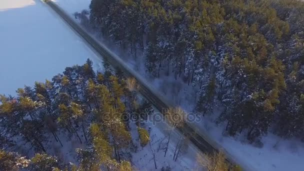 Egy autó vezetés a téli erdő országút. Felülnézet drone. A légi felvétel a egy út az erdőn magasan a hegyekben, télen hóval borított fák — Stock videók