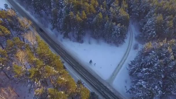 1 台の車は、国の道路で冬の森を運転します。ドローンから平面図です。雪に覆われた木が冬の山の高い森林を通って道の空撮 — ストック動画