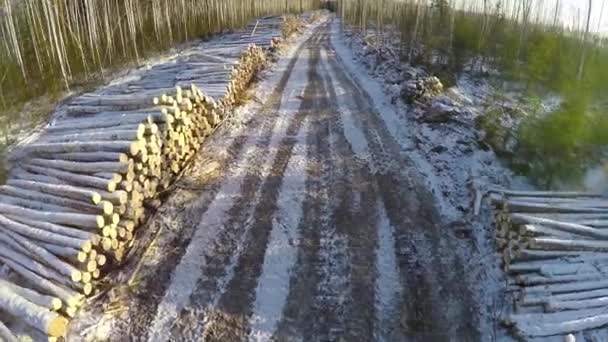 Estrada rural e árvores derrubadas no inverno. Paisagem de inverno. Estrada. Firewood. Vista aérea — Vídeo de Stock