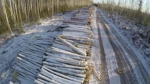 Country road and felled trees in winter time. Winter landscape. Road. Firewood. Aerial view — Stock Video