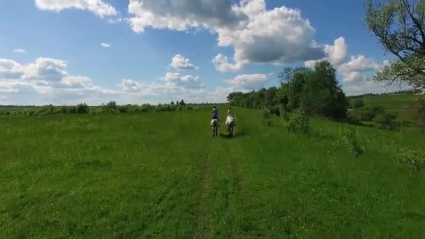 Jeune couple passant du temps ensemble à cheval, aérien 