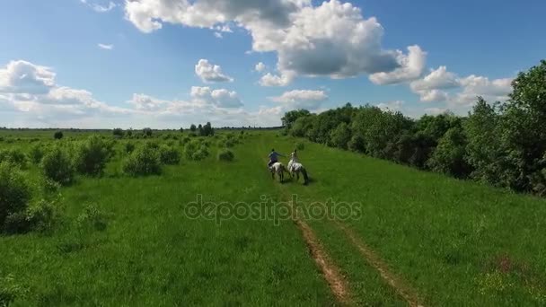 Young couple spending time together riding horses, aerial — Stock Video